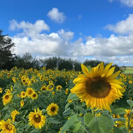 6 - Hawkraft Kulturhotel Aparthotel *
